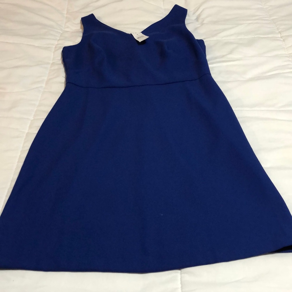 NWT Loft Dress